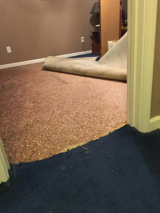 Carpet pad removal revealing water damage during Drying & Dehumidification in Amelia