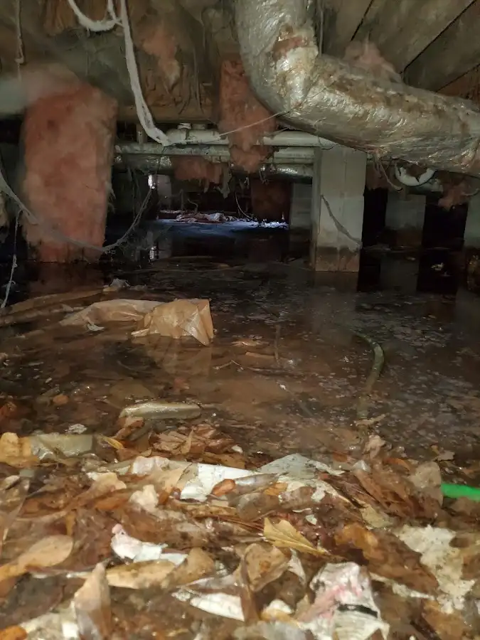 Crawl space flood assessment for Leak Detection & Repair in Amelia